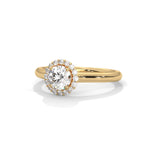Round Brilliant Cut Lab-Grown Diamond Halo Engagement Ring in Yellow Gold